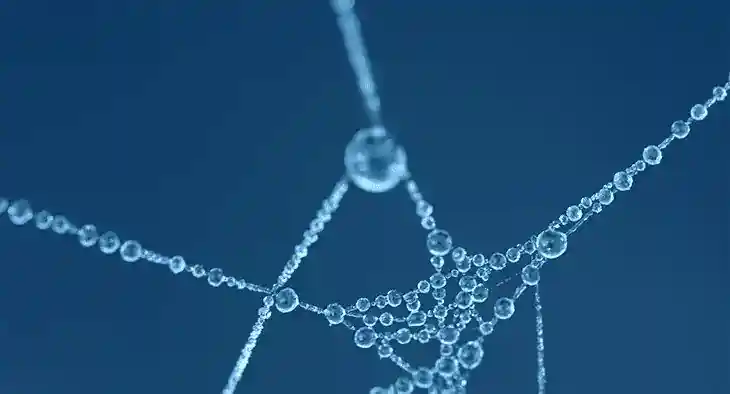 What is a Data Fabric?