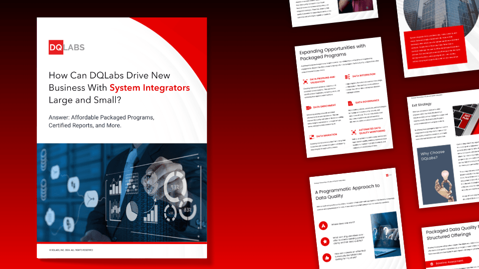 How Can DQLabs Drive New Business With System Integrators Large and Small?